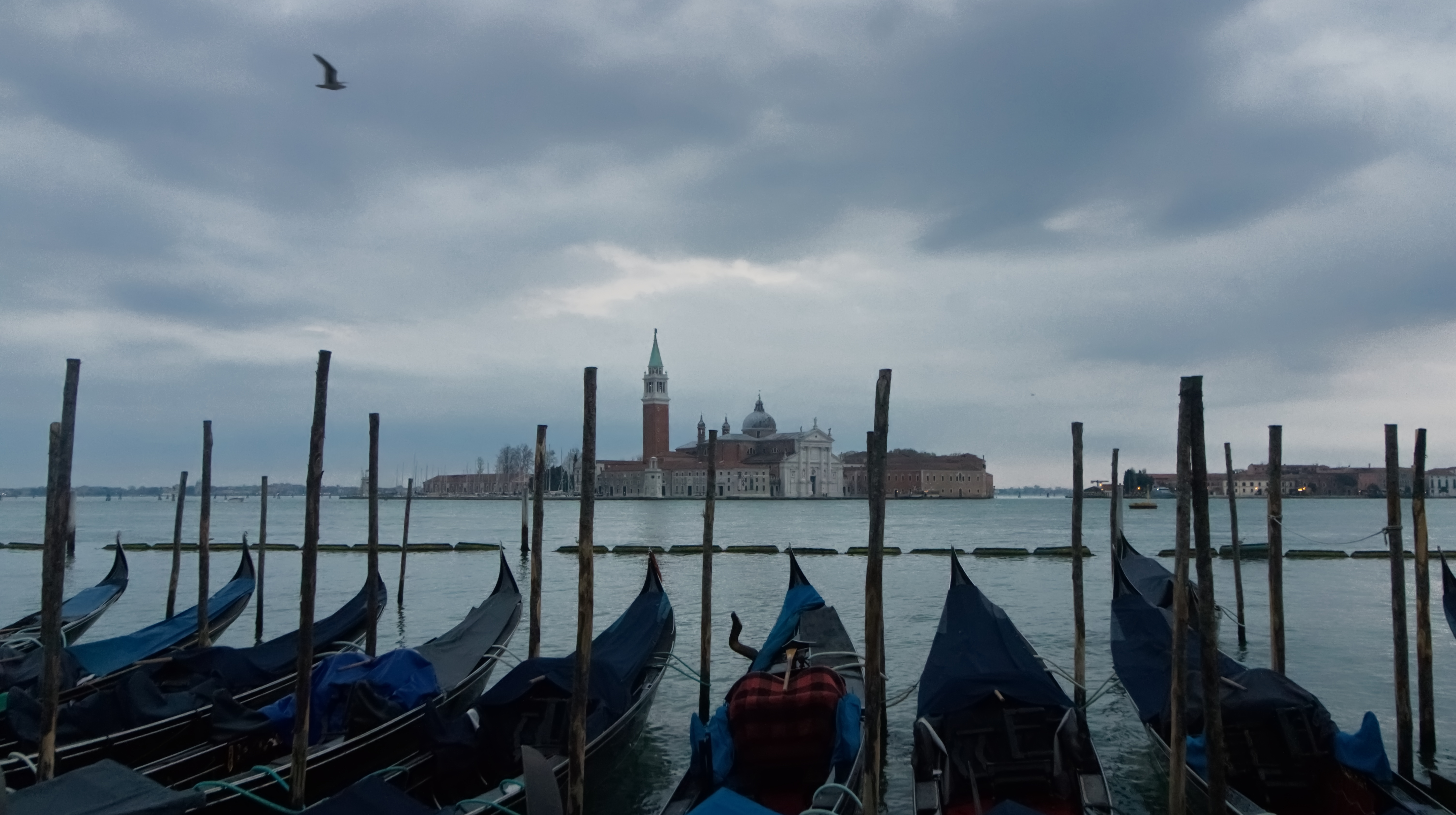 City Venezia